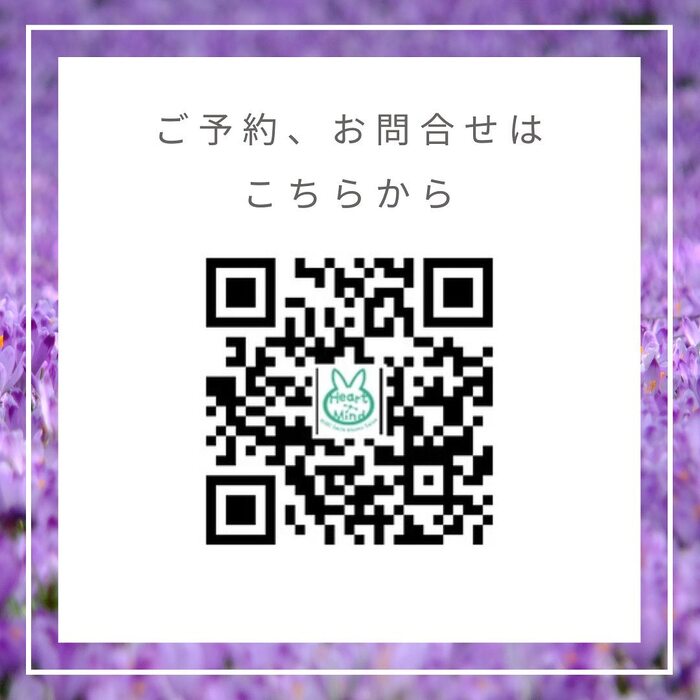画像296