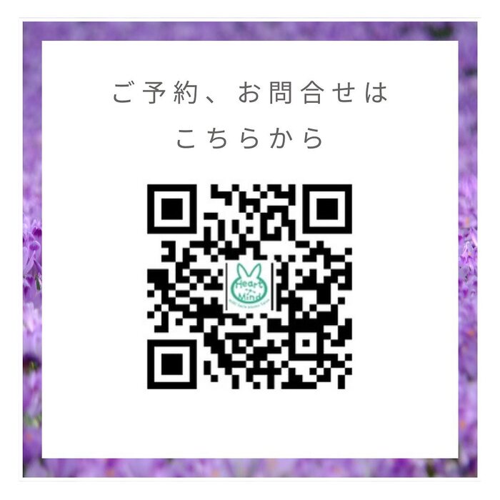 画像312