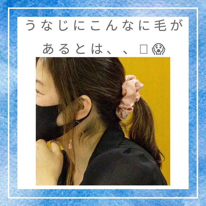 画像336