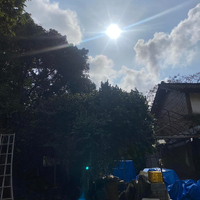画像388