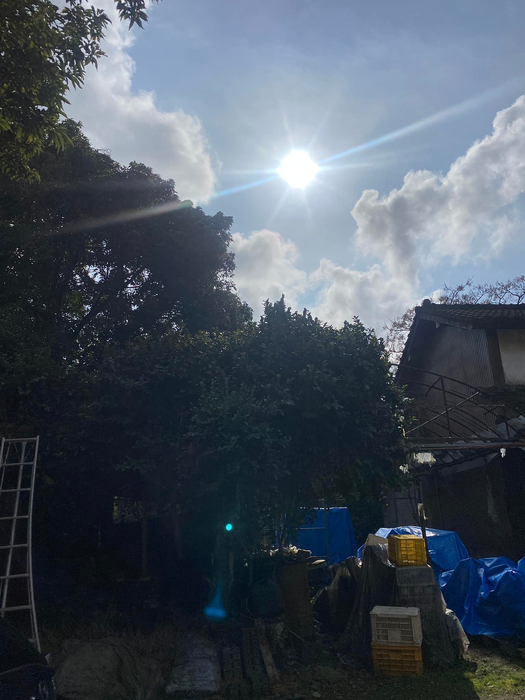 画像388